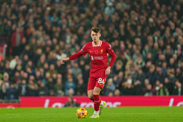 草皮环境下 草皮环境下